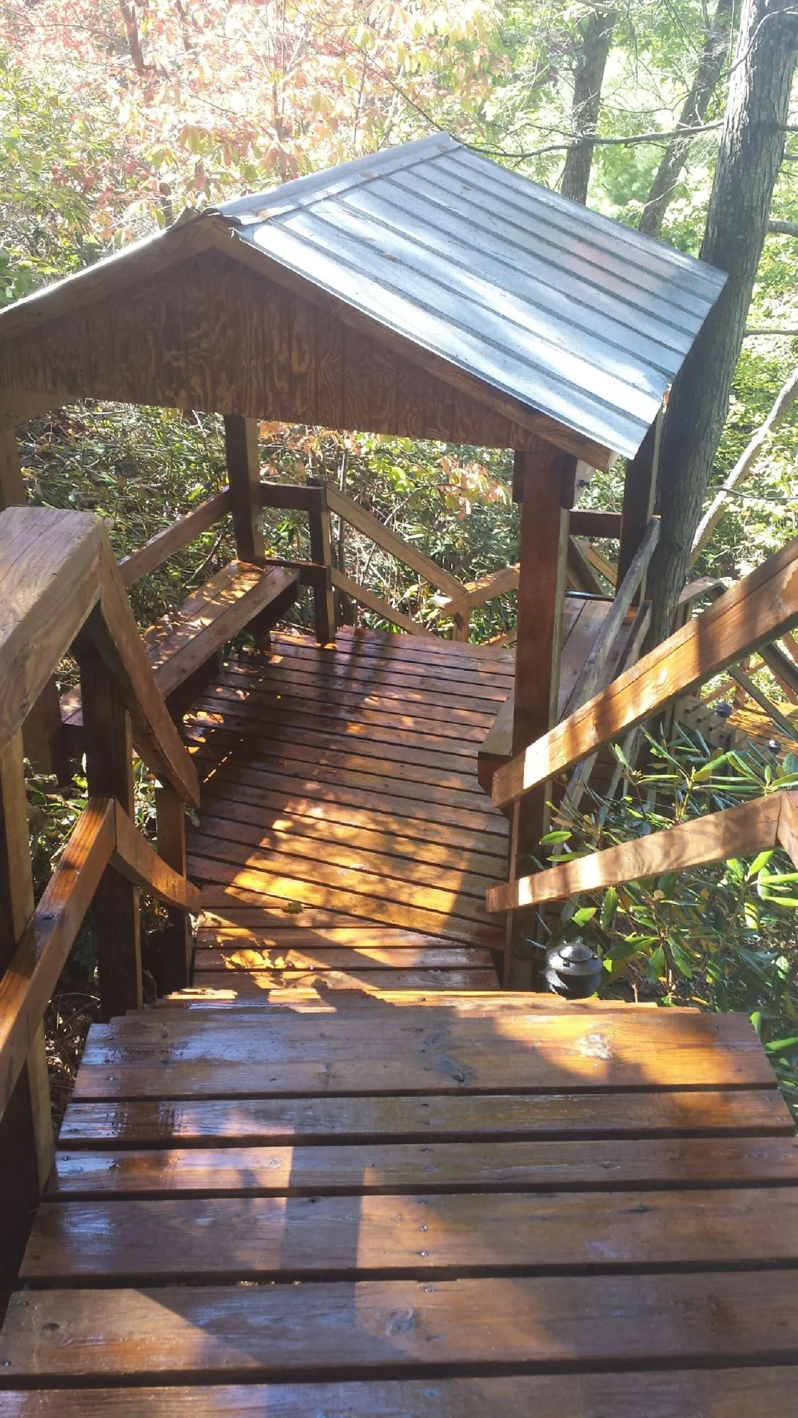 Freshly stained wood walkway and covered shelter with a metal roof in Lodi